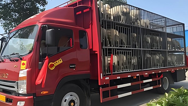 找貨車拉羊 找貨車拉羊